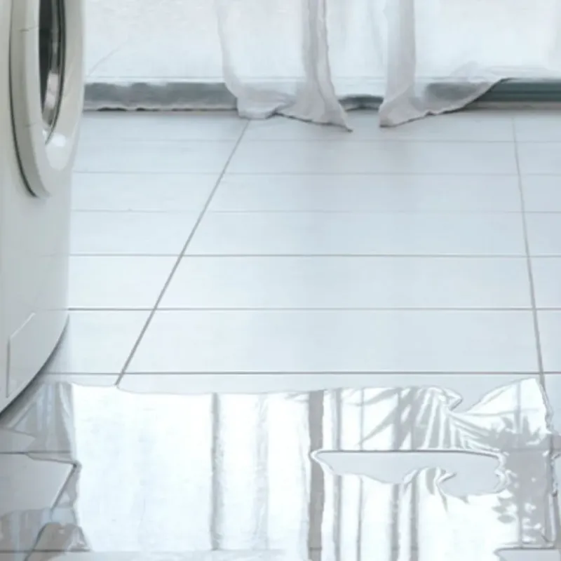 Appliance Leak Cleanup in Carroll County, GA