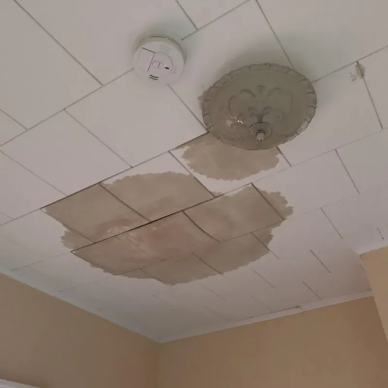 Ceiling Water Damage Repair in Carroll County, GA