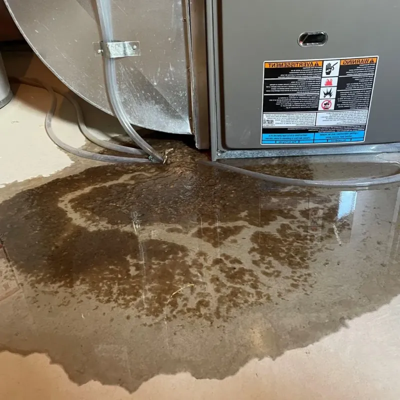 Pipe Burst and Leak Restoration in Carroll County, GA