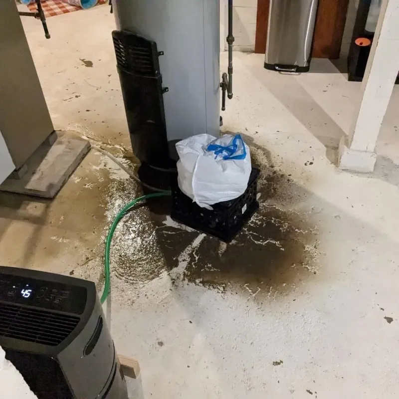 Sewage Backup Cleanup Service in Carroll County, GA